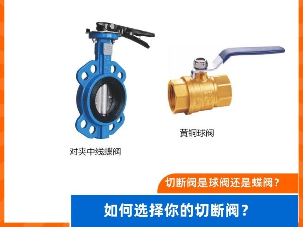 切斷閥是球閥還是蝶閥？如何選擇你的切斷閥？