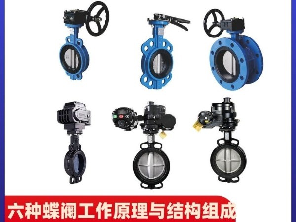 揭秘六種蝶閥工作原理與結構組成一覽