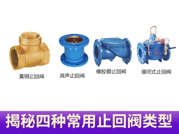 揭秘四種常用止回閥類(lèi)型