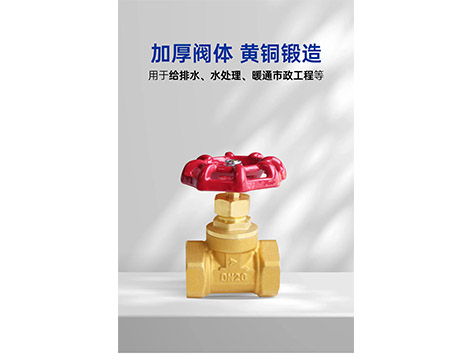 黃銅截止閥密封圈無法清潔怎么辦-艾德默閥門