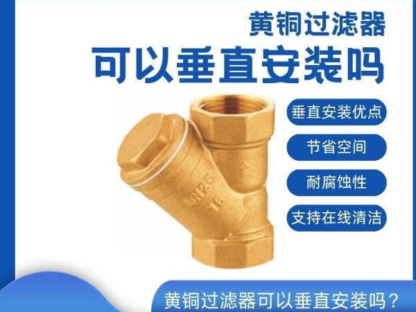黃銅過(guò)濾器可以垂直安裝嗎？管道清潔守護(hù)者